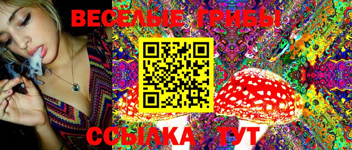 Галлюциногенные грибы GOLDEN TEACHER Ликино-Дулёво