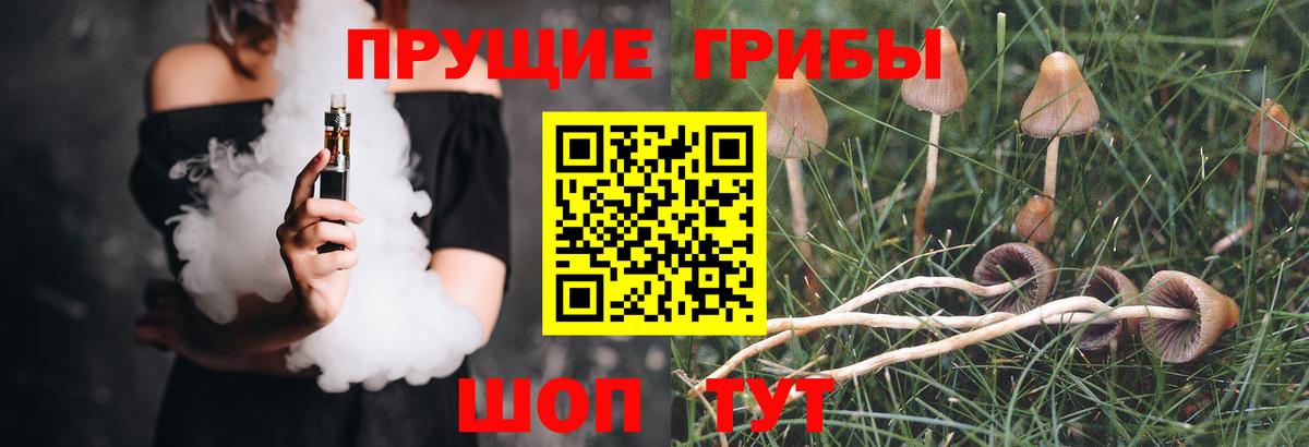 Ликино-Дулёво  Псилоцибиновые грибы GOLDEN TEACHER  Вход с VPN  Псилоцибиновые грибы Magic Shrooms 